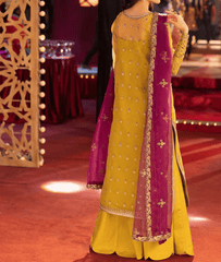 Fancy Suits / Wedding & Festive Collection