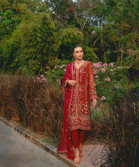 Most demanding festive collection